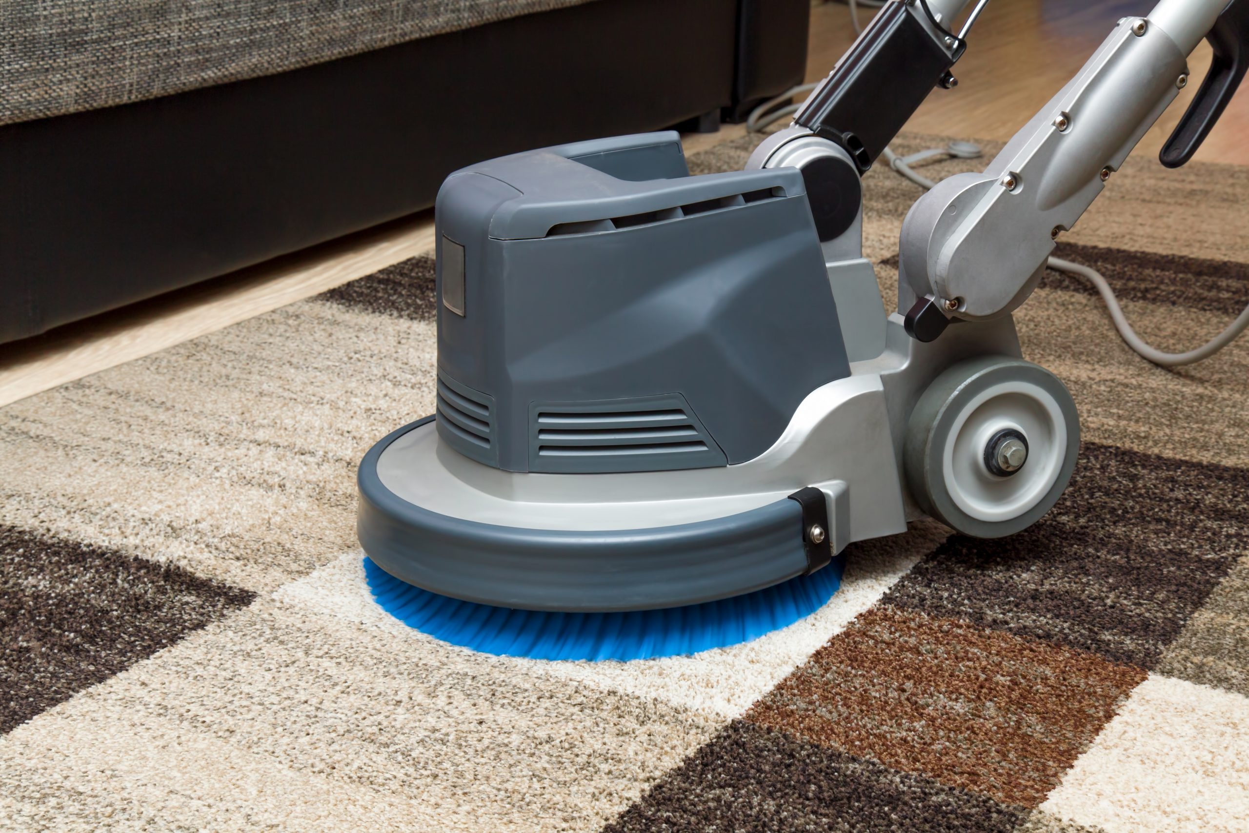 Carpets chemical cleaning with professionally disk machine. Earl